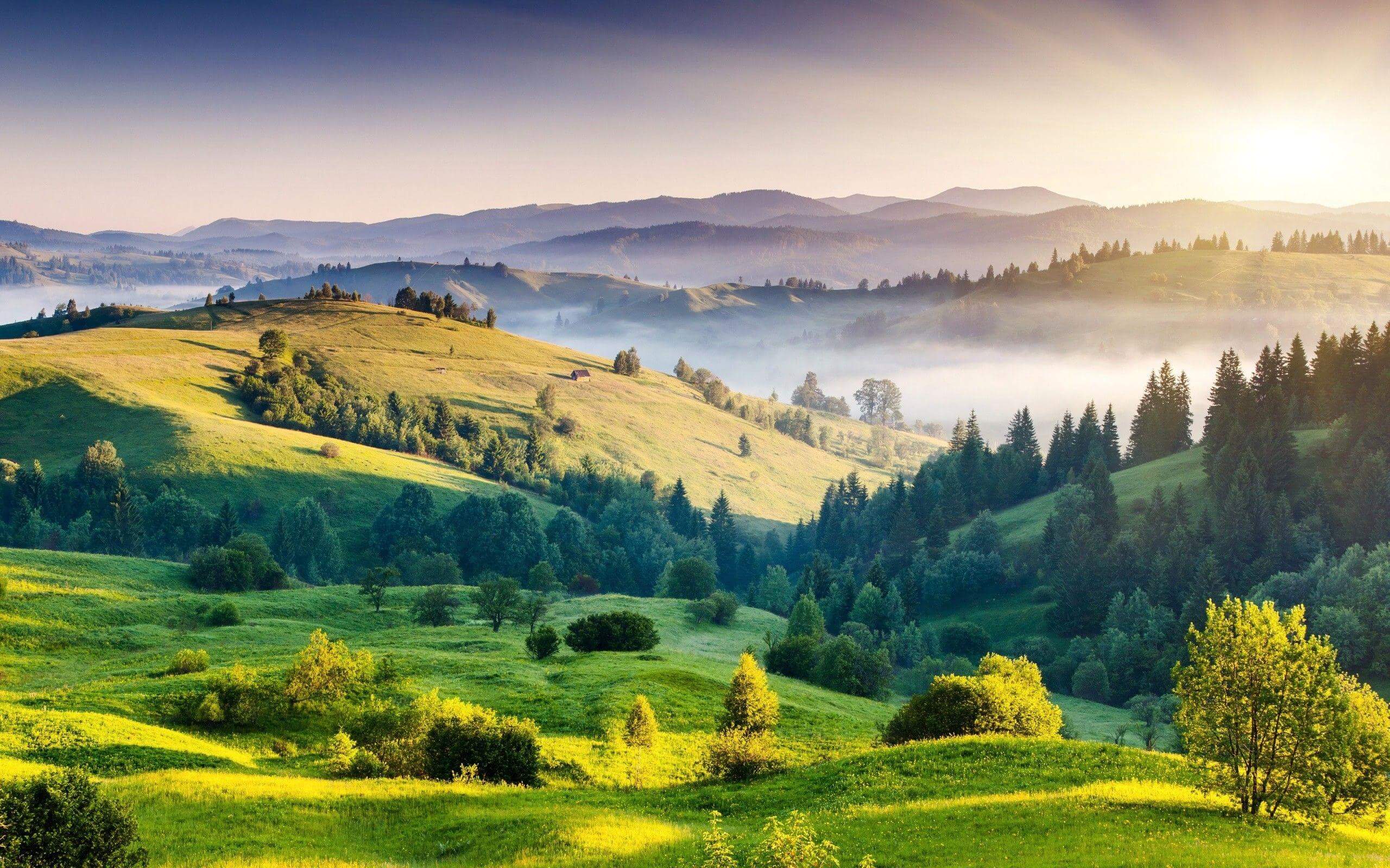 Sunny Landscape